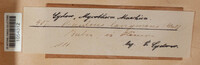 Serpula lacrymans image